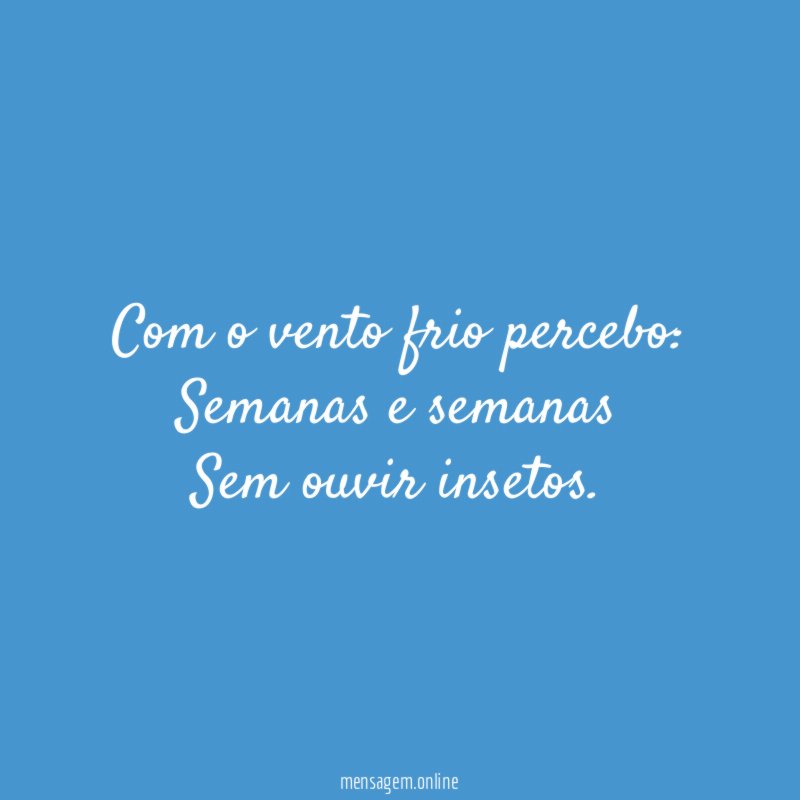 Com o vento frio percebo