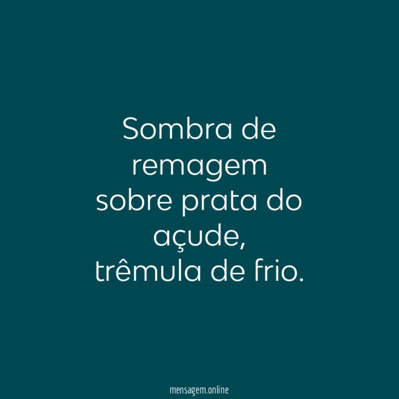 Sombra de remagem sobre prata do açude