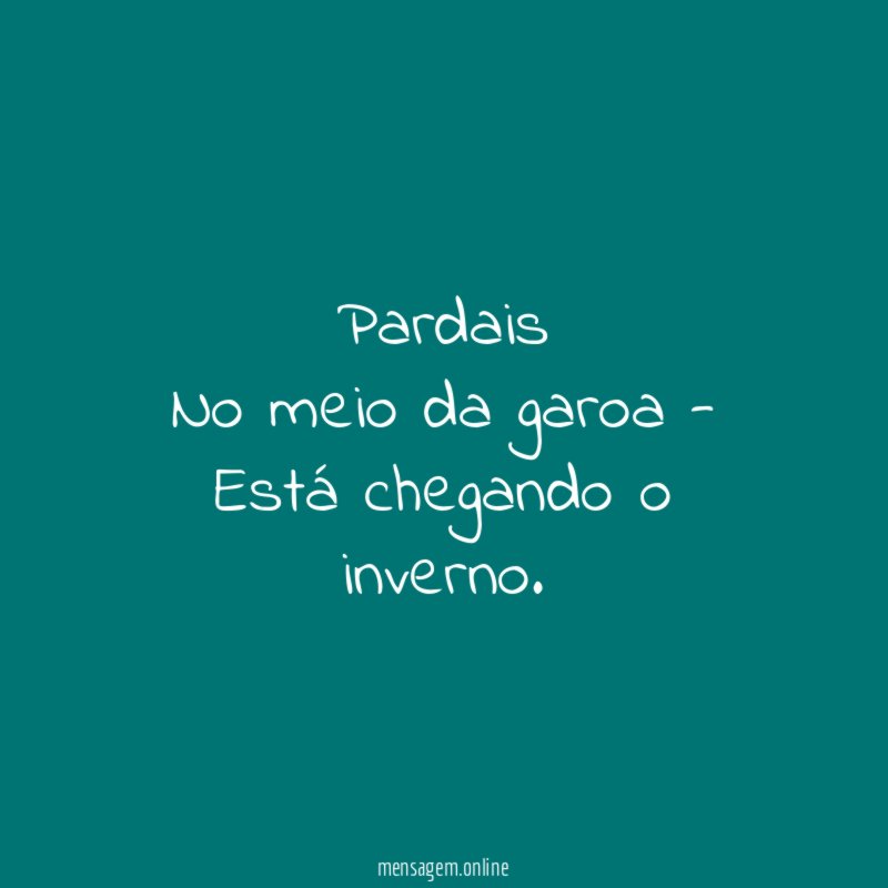 Pardais No meio da garoa - Está chegando o inverno
