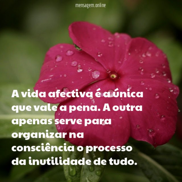 A vida afectiva é a única que vale a pena