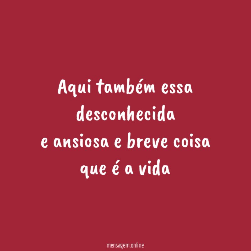 aqui também essa desconhecida e ansiosa e breve coisa que