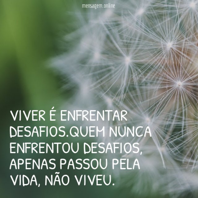 Viver é enfrentar desafios