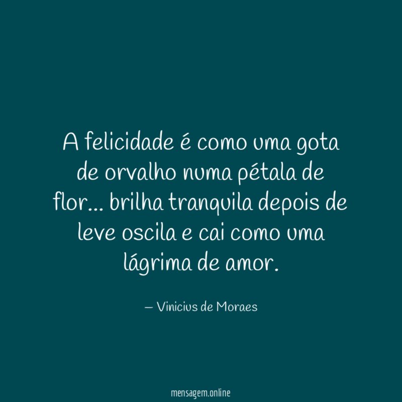 A felicidade é como uma gota de orvalho numa pétala de flor