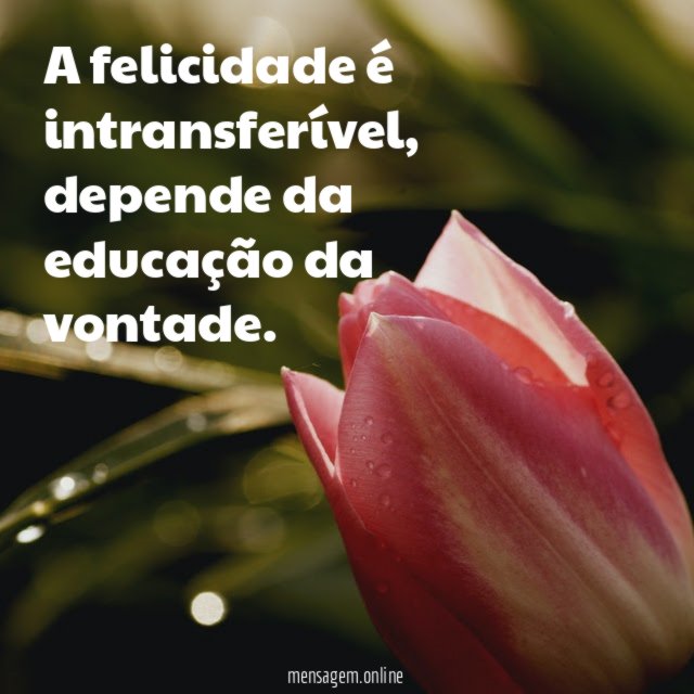 A felicidade é intransferível