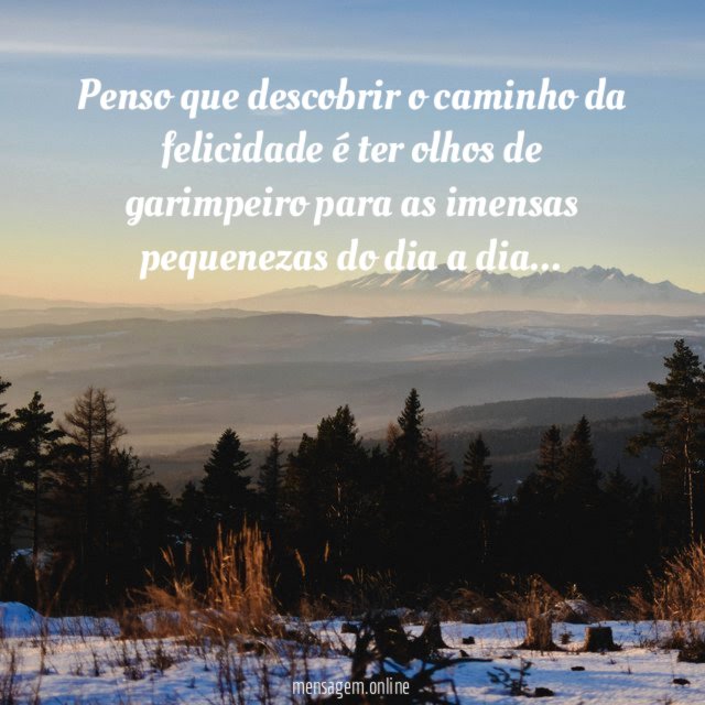Penso que descobrir o caminho da felicidade é