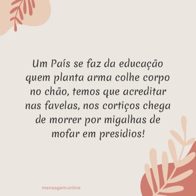 Um País se faz da educação quem planta