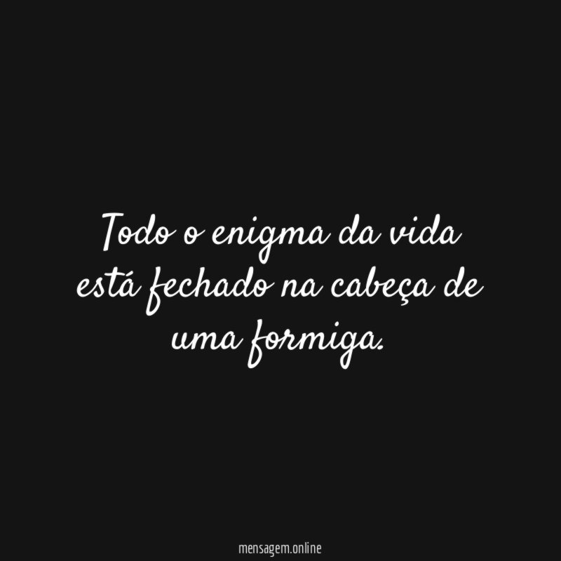 Todo o enigma da vida está fechado na