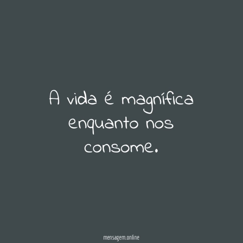A vida é magnífica enquanto nos consome