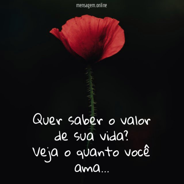 Quer saber o valor de sua vida