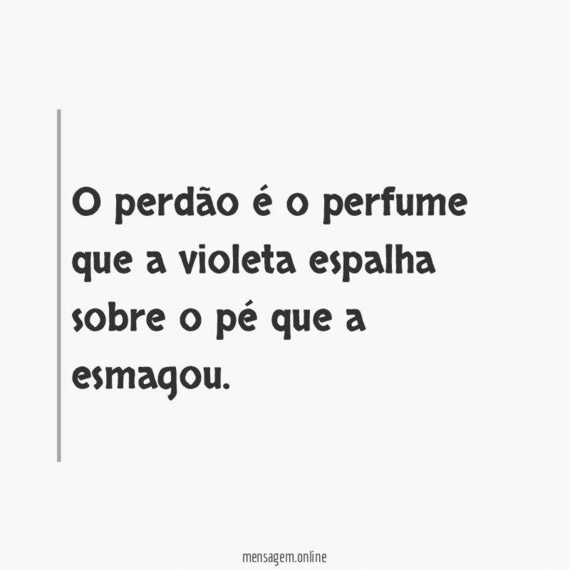 O perdão é o perfume que a violeta