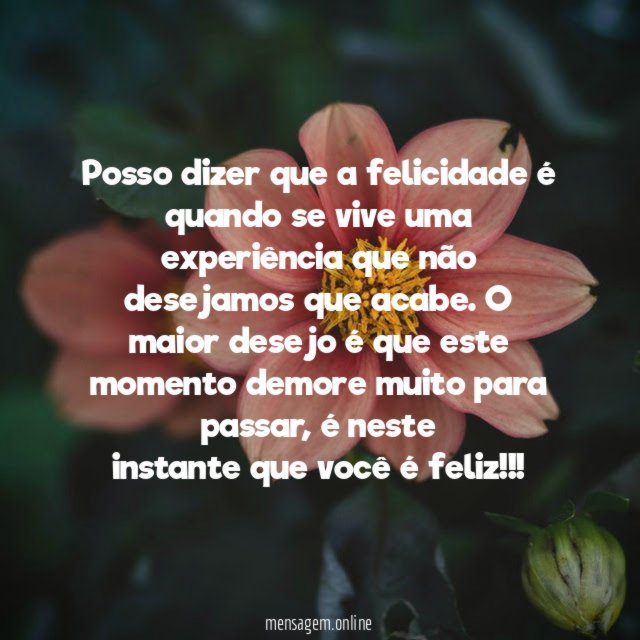 Posso dizer que a felicidade é quando se