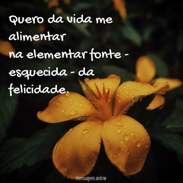 Quero da vida me alimentar na elementar fonte -