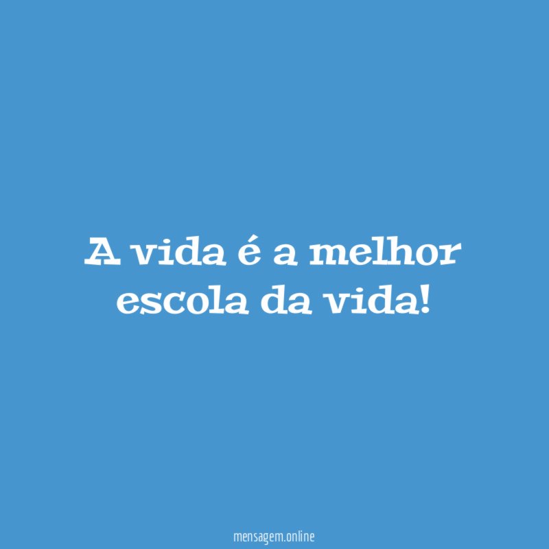 A vida é a melhor escola da vida