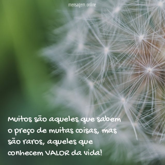 Muitos são aqueles que sabem o preço de muitas coisas