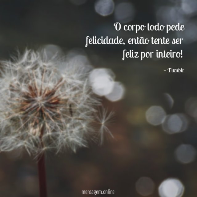O corpo todo pede felicidade