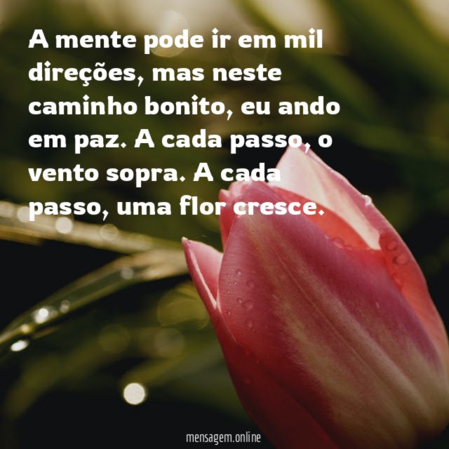 A mente pode ir em mil direções