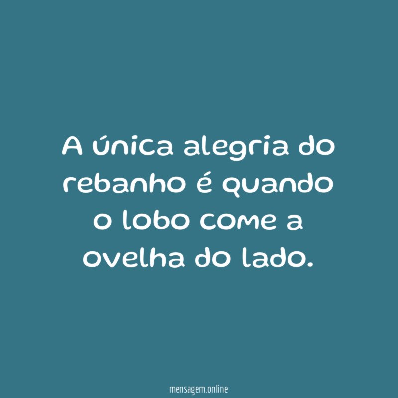 A única alegria do rebanho é quando