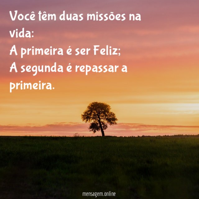 Você têm duas missões na vida
