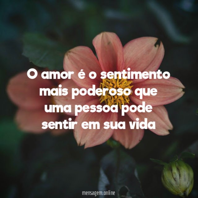 O amor é o sentimento mais poderoso que