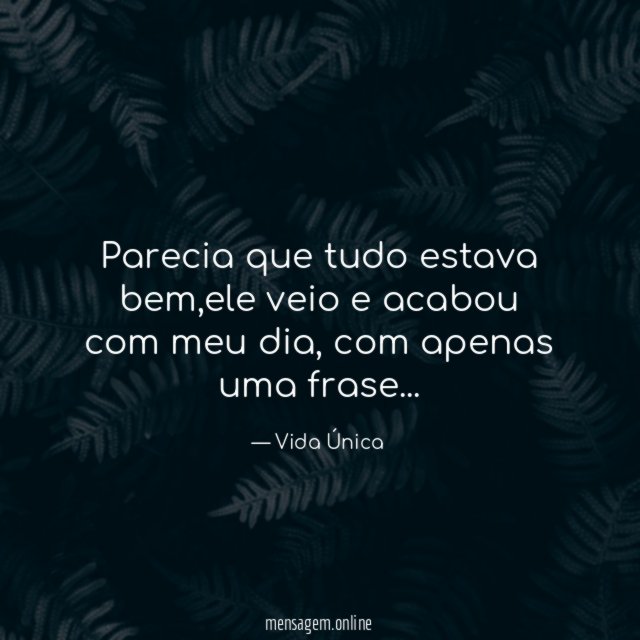 Parecia que tudo estava bem
