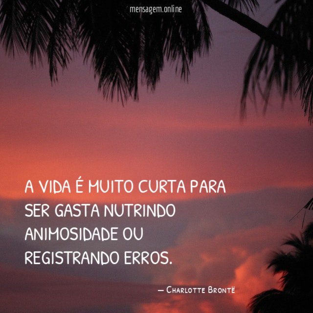 A vida é muito curta para ser gasta nutrindo animosidade ou registrando erros
