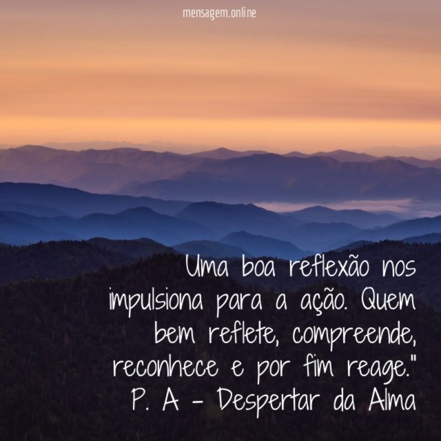 "Uma boa reflexão nos impulsiona para a ação. Quem bem reflete, compreende, reconhece e por fim reage."