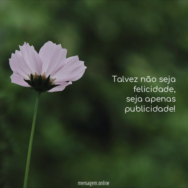 Talvez não seja felicidade