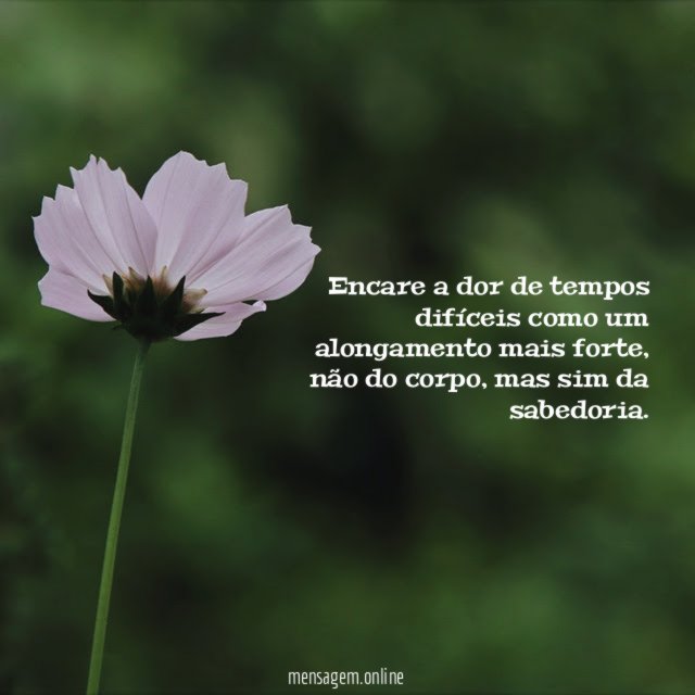 Encare a dor de tempos difíceis como um alongamento mais forte