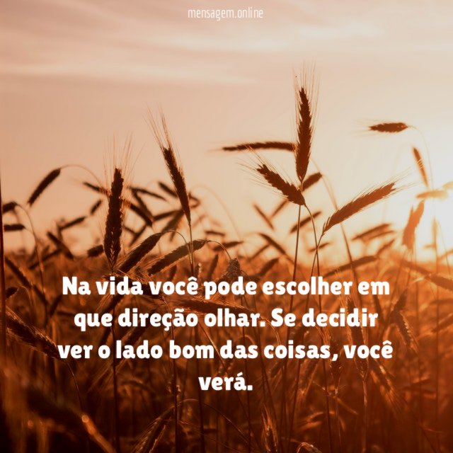 Na vida você pode escolher em que direção olhar