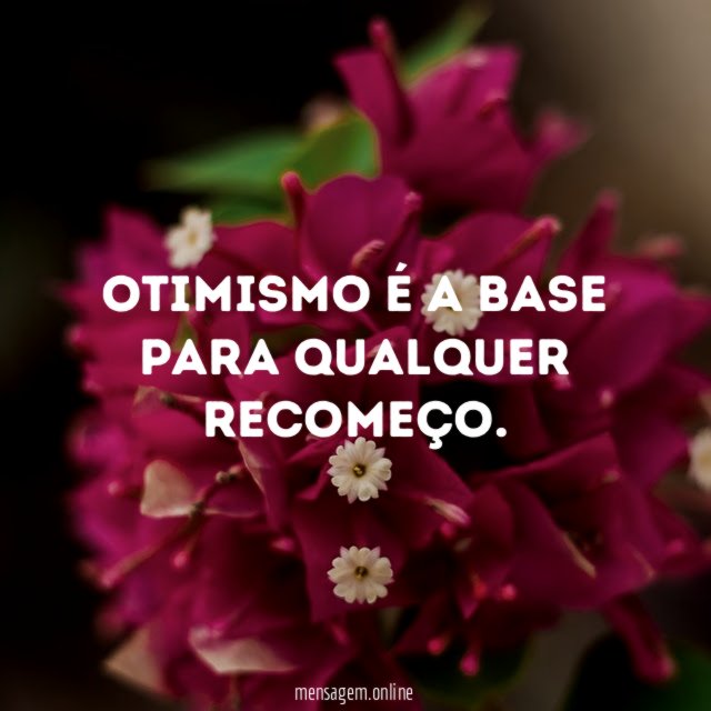 Otimismo é a base para qualquer recomeço