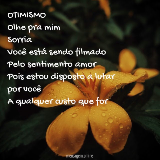 OTIMISMO