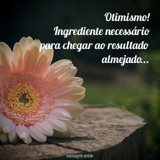 Otimismo