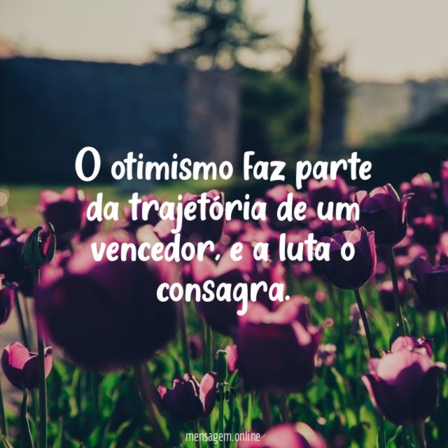 O otimismo faz parte da trajetória de um vencedor