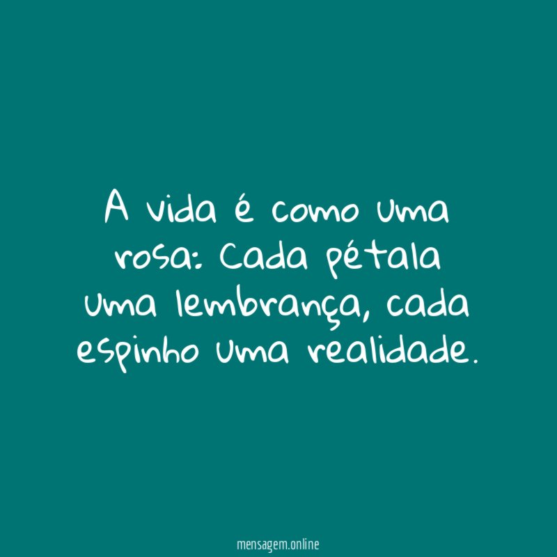 A vida é como uma rosa