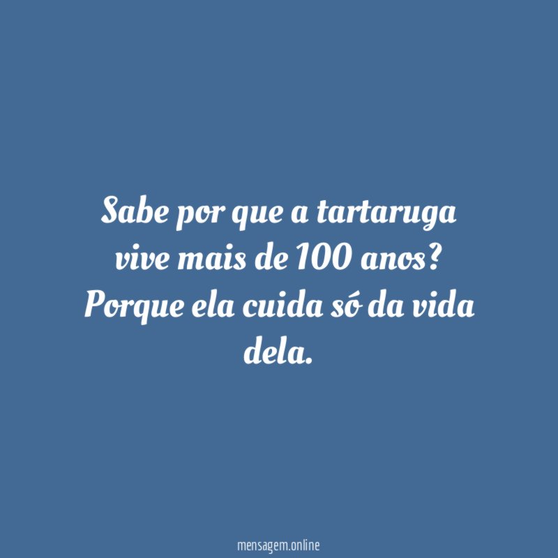 Sabe por que a tartaruga vive mais de 100 anos