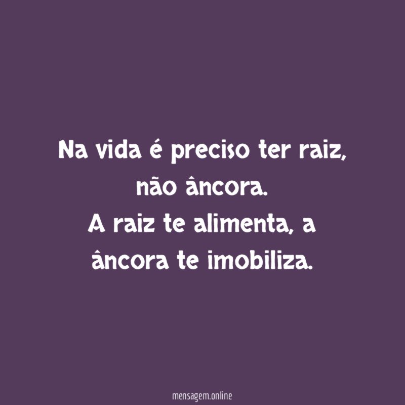 Na vida é preciso ter raiz