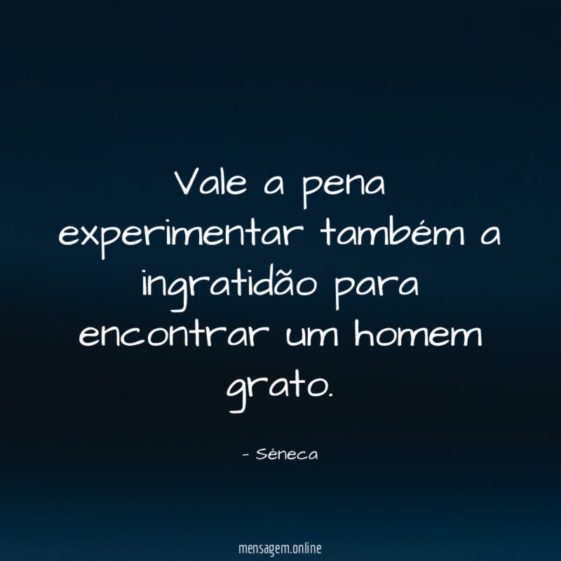 Vale a pena experimentar também a ingratidão para