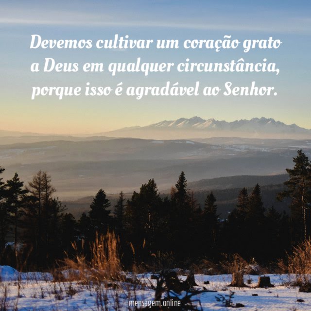 Devemos cultivar um coração grato a Deus em qualquer circunstância
