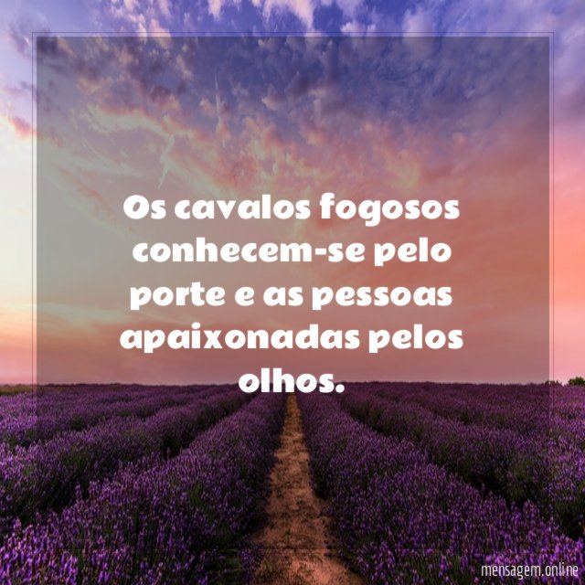 Os cavalos fogosos conhecem-se pelo porte e as pessoas apaixonadas pelos olhos