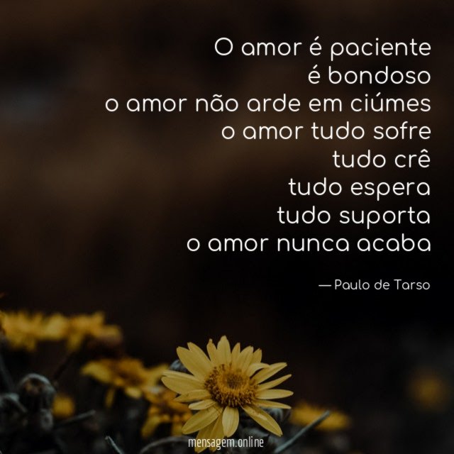 o amor é paciente é bondoso o amor não arde