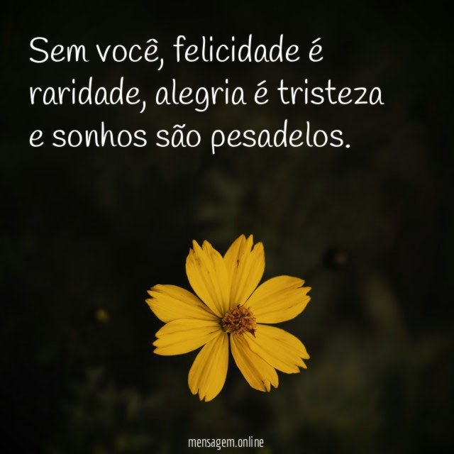 Sem você