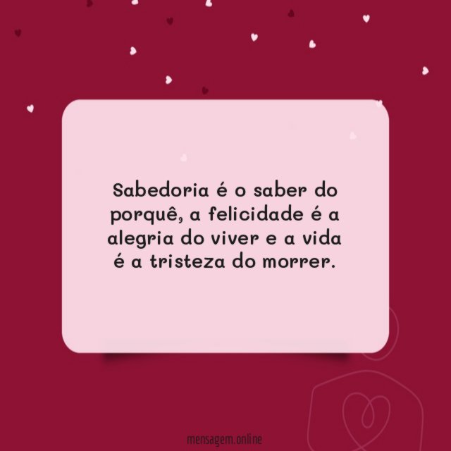 Sabedoria é o saber do porquê