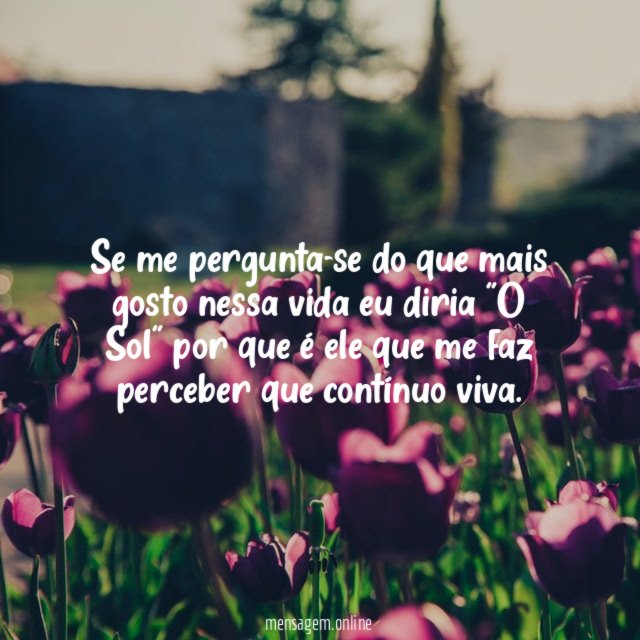 Se me pergunta-se do que mais gosto nessa