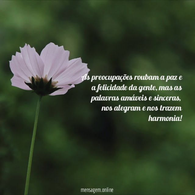 As preocupações roubam a paz e a felicidade da gente