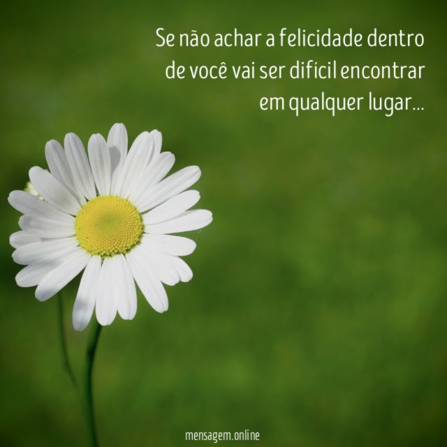 Se não achar a felicidade dentro de você