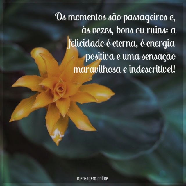 Os momentos são passageiros