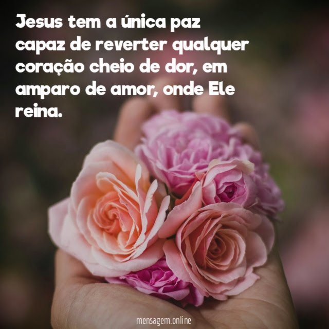 Jesus tem a única paz capaz de reverter