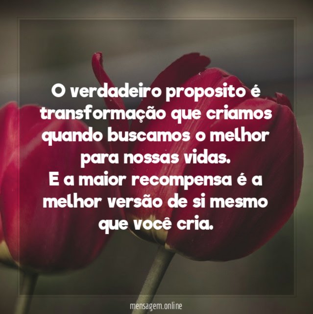 O verdadeiro proposito é transformação que criamos quando