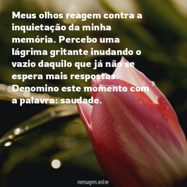 Meus olhos reagem contra a inquietação da minha memória