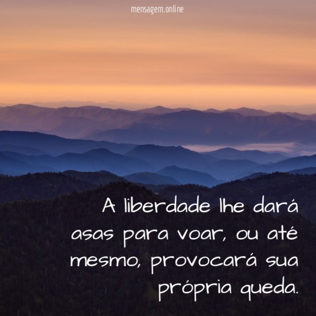 A liberdade lhe dará asas para voar
